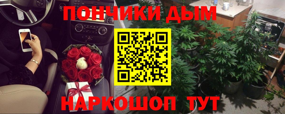 Марихуана гибрид  МАРИХУАНА AK-47  Ирбит  Каннабис OG Kush  Вход с VPN 